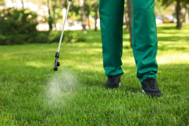 Best Pest Removal Services  in Fort Mill, SC